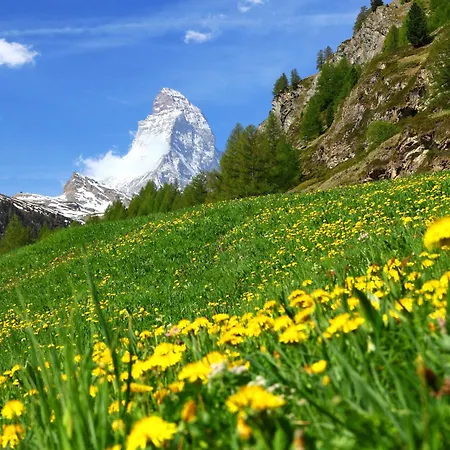 Appartamento Adlerhorn By Interhome Zermatt