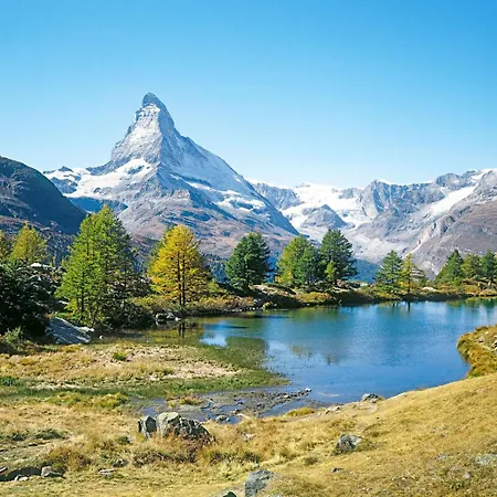 Adlerhorn By Interhome Appartamento